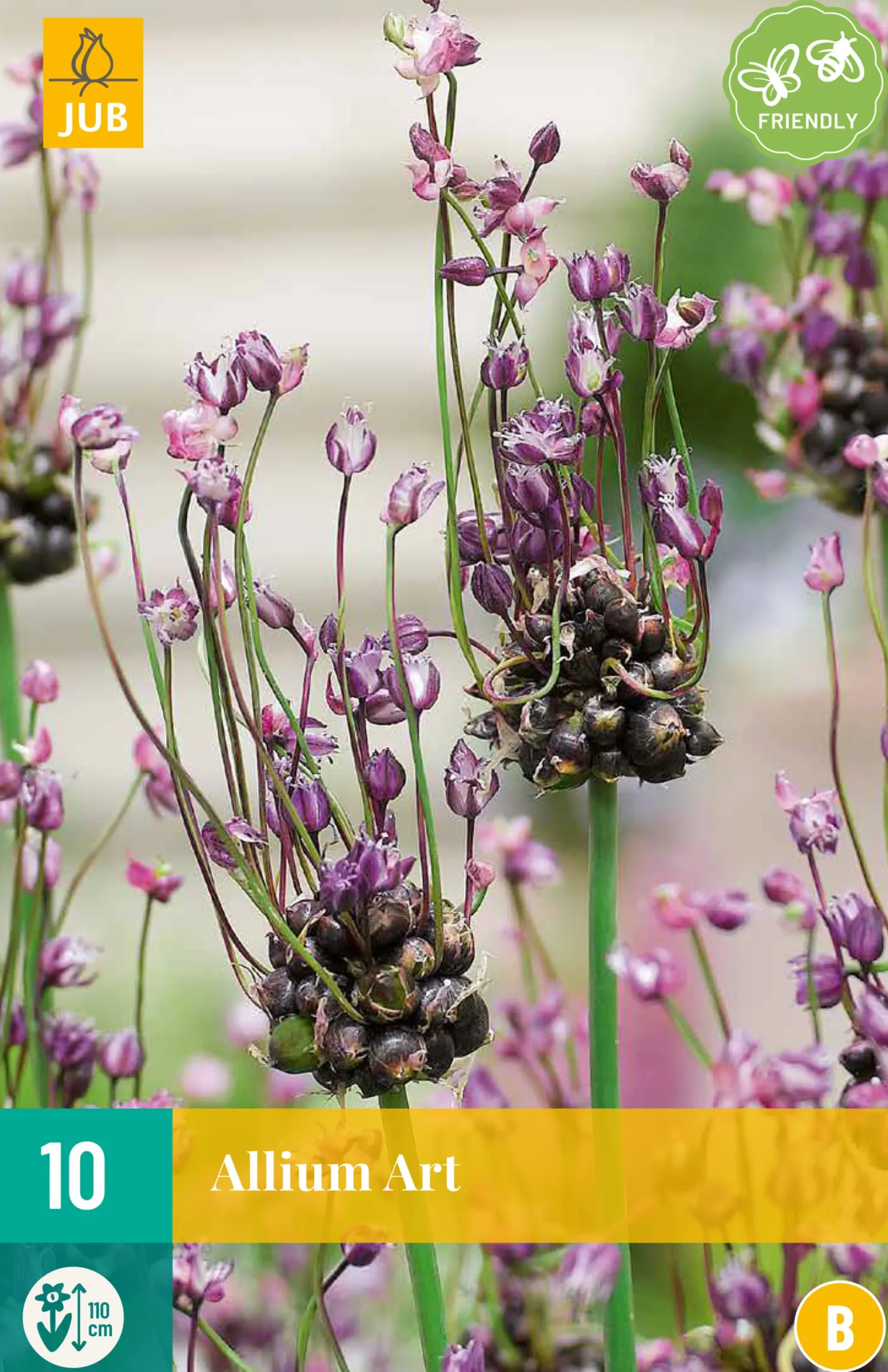 ohgreen Bloembollen|Ecocheques|10 allium art