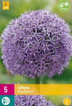 ohgreen Bloembollen|Ecocheques|5 allium gladiator