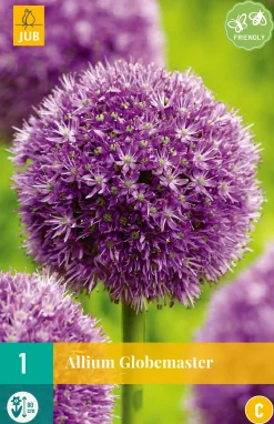 ohgreen Bloembollen|Ecocheques|1 allium globemaster