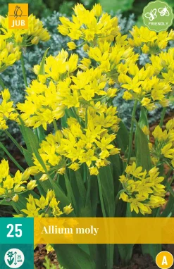 ohgreen Bloembollen|Ecocheques|25 allium moly