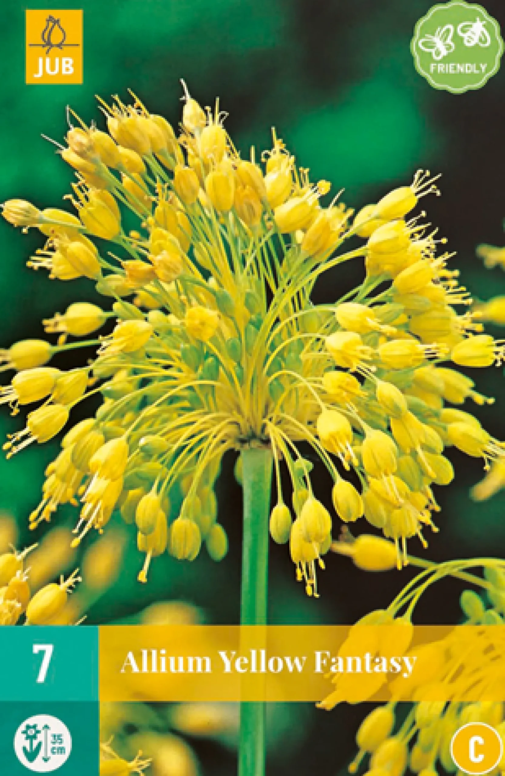 ohgreen Bloembollen|Ecocheques|7 allium yellow fantasy