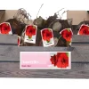 ohgreen Bloembollen|Ecocheques|1 amaryllis rood
