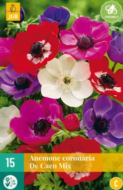ohgreen Bloembollen|Ecocheques|15 bloembollen anemone coronaria de caen mix
