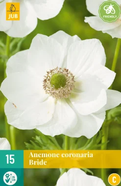 ohgreen Bloembollen|Ecocheques|15 bloembollen anemone coronaria bride
