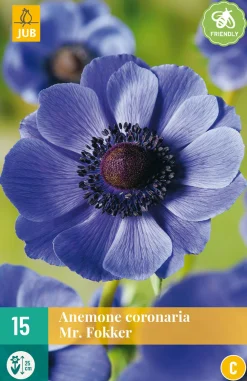 ohgreen Bloembollen|Ecocheques|15 bloembollen anemone coronaria mr. fokker