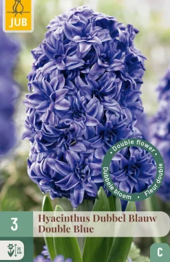 ohgreen Ecocheques|Bloembollen|3 bloembollen hyacinthus dubbel blauw
