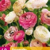 ohgreen Bloembollen|Ecocheques|40 bloembollen ranunculus pastel mix