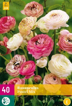 ohgreen Bloembollen|Ecocheques|40 bloembollen ranunculus pastel mix