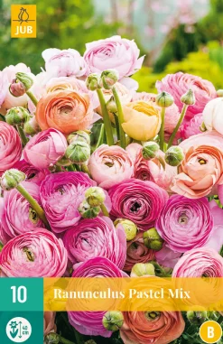 ohgreen Bloembollen|Ecocheques|10 bloembollen ranunculus pastel mix