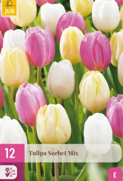ohgreen Bloembollen|Ecocheques|12 bloembollen tulipa sorbet mix