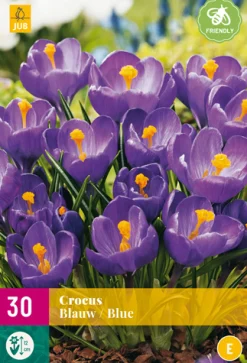 ohgreen Bloembollen|Ecocheques|30 crocus blauw