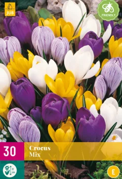 ohgreen Bloembollen|Ecocheques|30 crocus grootbloemig mix