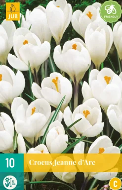 ohgreen Bloembollen|Ecocheques|10 crocus jeanne d'arc