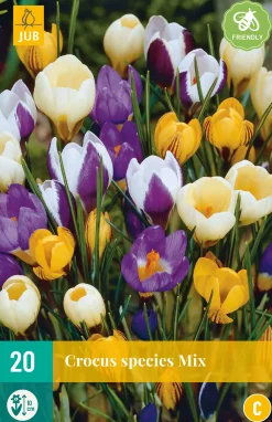 ohgreen Bloembollen|Ecocheques|20 crocus species mix