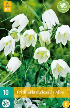 ohgreen Bloembollen|Ecocheques|10 fritillaria meleagris alba