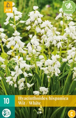 ohgreen Bloembollen|Ecocheques|10 hyacinthoides hisp. wit