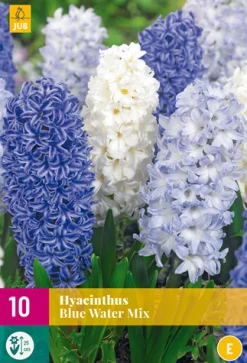 ohgreen Bloembollen|Ecocheques|10 hyacinthus blue water mix