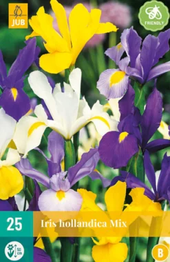ohgreen Bloembollen|Ecocheques|25 iris hollandica mix