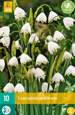 ohgreen Bloembollen|Ecocheques|10 leucojum aestivum