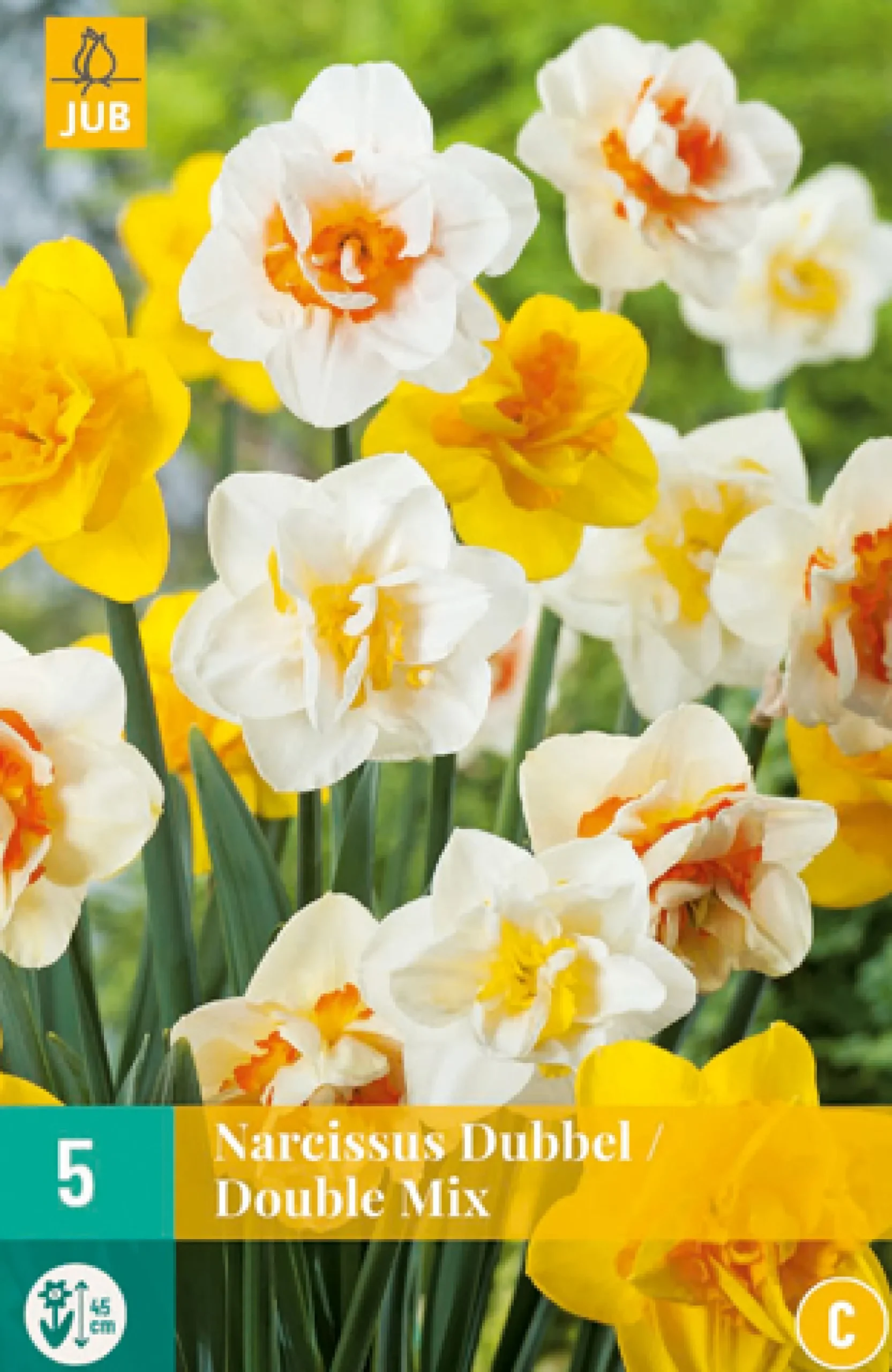 ohgreen Bloembollen|Ecocheques|5 narcissus dubbel mix
