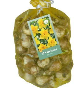 ohgreen Bloembollen|Ecocheques|70 narcissus geel