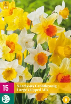 ohgreen Bloembollen|Ecocheques|15 narcissus grootkronig mix