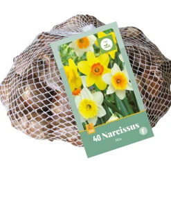ohgreen Bloembollen|Ecocheques|40 narcissus mix