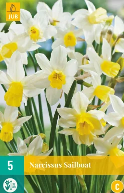 ohgreen Bloembollen|Ecocheques|5 narcissus sailboat