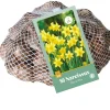 ohgreen Bloembollen|Ecocheques|50 narcissus tête-à-tête