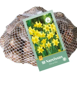 ohgreen Bloembollen|Ecocheques|50 narcissus tête-à-tête