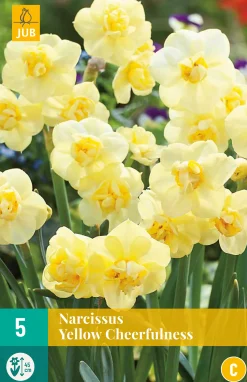 ohgreen Bloembollen|Ecocheques|5 narcissus yellow cheerfulness