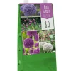 ohgreen Bloembollen|Ecocheques|1 tas met 80 bollen bulb garden allium