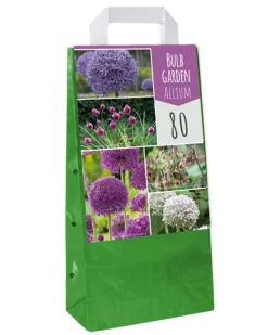 ohgreen Bloembollen|Ecocheques|1 tas met 80 bollen bulb garden allium