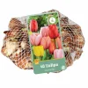 ohgreen Bloembollen|Ecocheques|40 tulipa darwin hybride mix