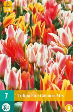 ohgreen Bloembollen|Ecocheques|7 tulipa fun colours