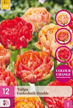 ohgreen Bloembollen|Ecocheques|12 tulipa gudushnik double