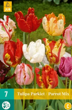 ohgreen Bloembollen|Ecocheques|7 tulipa parkiet mix