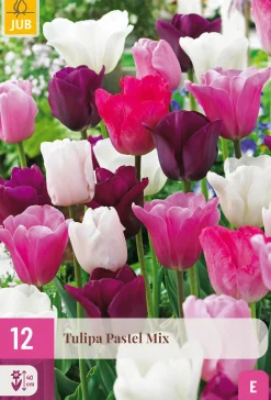 ohgreen Bloembollen|Ecocheques|12 tulipa pastel mix