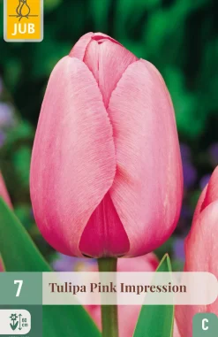 ohgreen Bloembollen|Ecocheques|7 tulipa pink impression