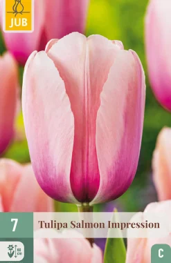 ohgreen Bloembollen|Ecocheques|7 tulipa salmon impression