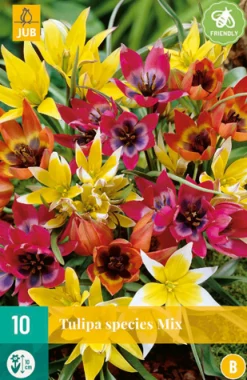 ohgreen Bloembollen|Ecocheques|10 tulipa species mix