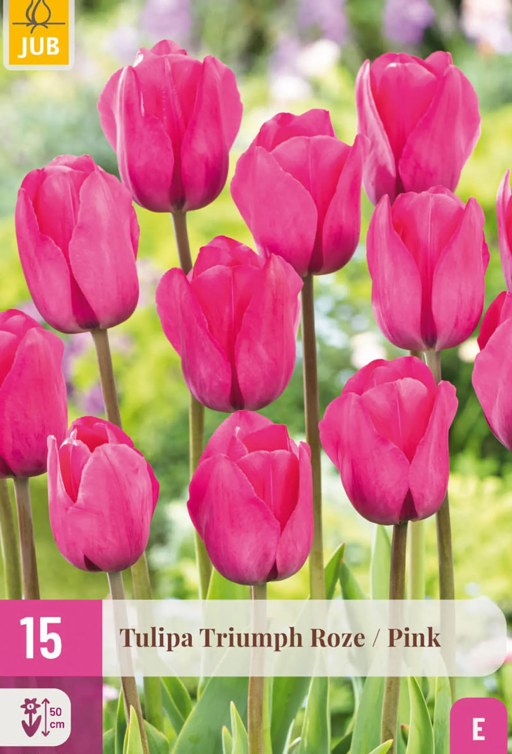 ohgreen Bloembollen|Ecocheques|15 tulipa triumph roze
