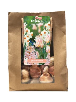 ohgreen Bloembollen|Ecocheques|1 zak 25 bollen colour your garden peach blush