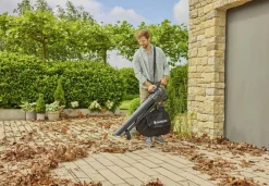 ohgreen Ecocheques|Gereedschap Op Batterij|Accu bladblazer/-zuiger PowerJet Collect