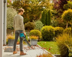 ohgreen Gereedschap Op Batterij|Ecocheques|Accubladblazer PowerJet 18V P4A set