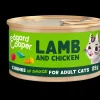 ohgreen Kat Voeding|Adult lam&kip in saus 85g
