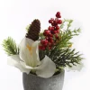 ohgreen Kerstdecoratie|Amaryllis arrangement in pot