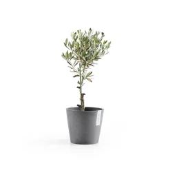 ohgreen Kunststof|Ecocheques|Amsterdam 20cm grijs met waterreservoir