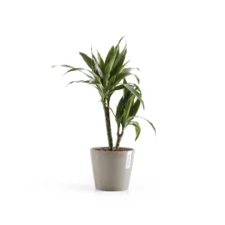 ohgreen Kunststof|Ecocheques|Amsterdam 20cm taupe met waterreservoir