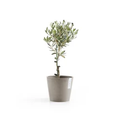 ohgreen Kunststof|Ecocheques|Amsterdam 20cm taupe met waterreservoir
